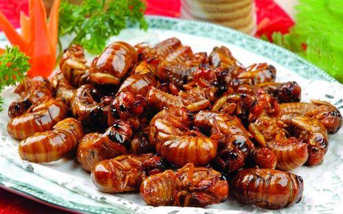 扒鸡最新活动爆料图片,揭秘最新活动亮点，抢鲜体验美味盛宴！